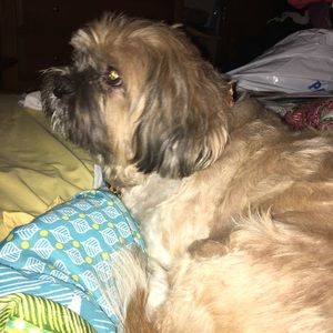 Meet your Posher, Laura